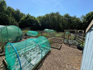 Allotment