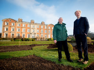 Supporting image for story: Weston Park set to get a rose garden revamp thanks to donations