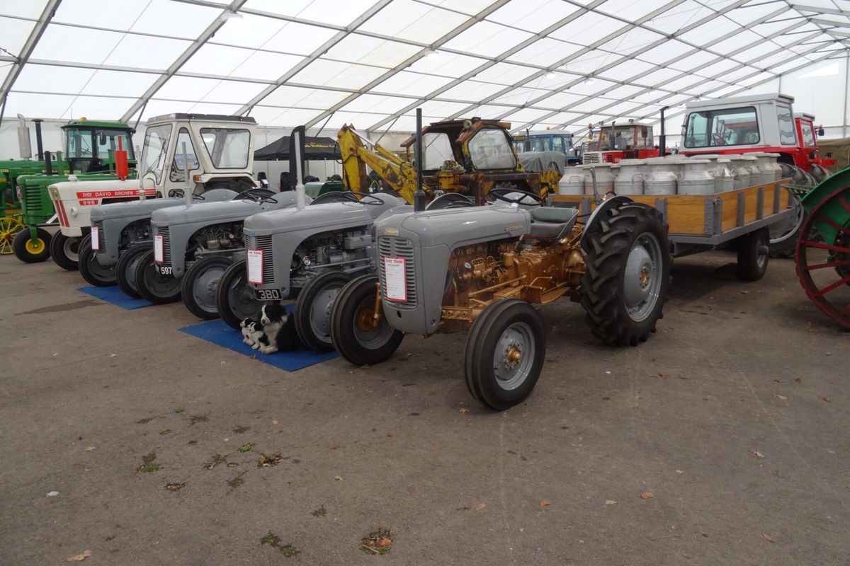 Iconic name in farming to be celebrated as one of the largest vintage tractor shows returns to the West Midlands - here’s everything you need to know