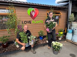 Supporting image for story: Love Plants set for date at Shrewsbury Flower Show