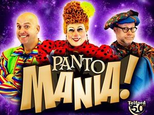 Supporting image for story: Last chance for cheap Telford panto tickets