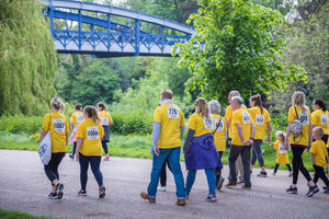 Shrewsbury's Quarry was a sea of yellow for the walk. Pictures: Ross Andrew Photography