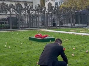 Supporting image for story: Telford MP lays poppy cross at Westminster to honour 'fallen heroes'