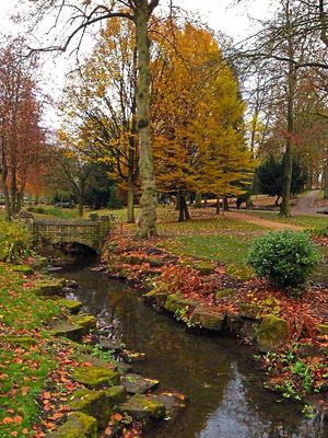 Autumnal view of Hoars Brook by Steve Kendrick