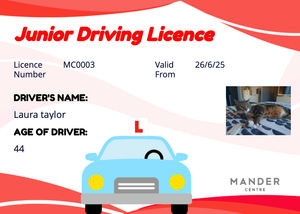 Complete the course to gain your license!