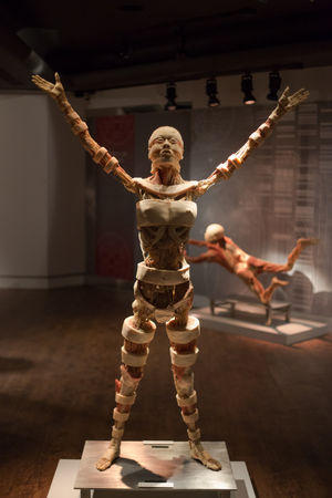 Move. Photo by: Edison Graff