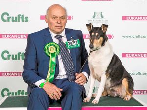 Supporting image for story: Crufts 2017: Shropshire man's collie claims prestigious prize