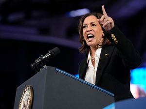 Supporting image for story: Harris sets out plan to empower black men as US election looms