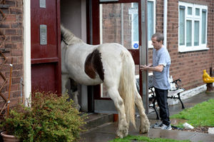 Arriving at Mr Dudley's home in Skemp Close