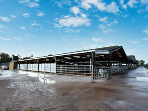 Supporting image for story: Welshpool construction firm builds on new contracts with more growth planned in 2025