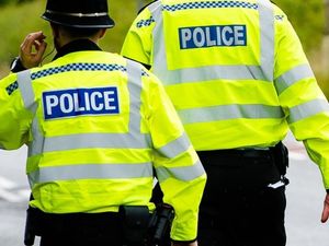 Supporting image for story: Ravens poisoned on Mid Wales farmland