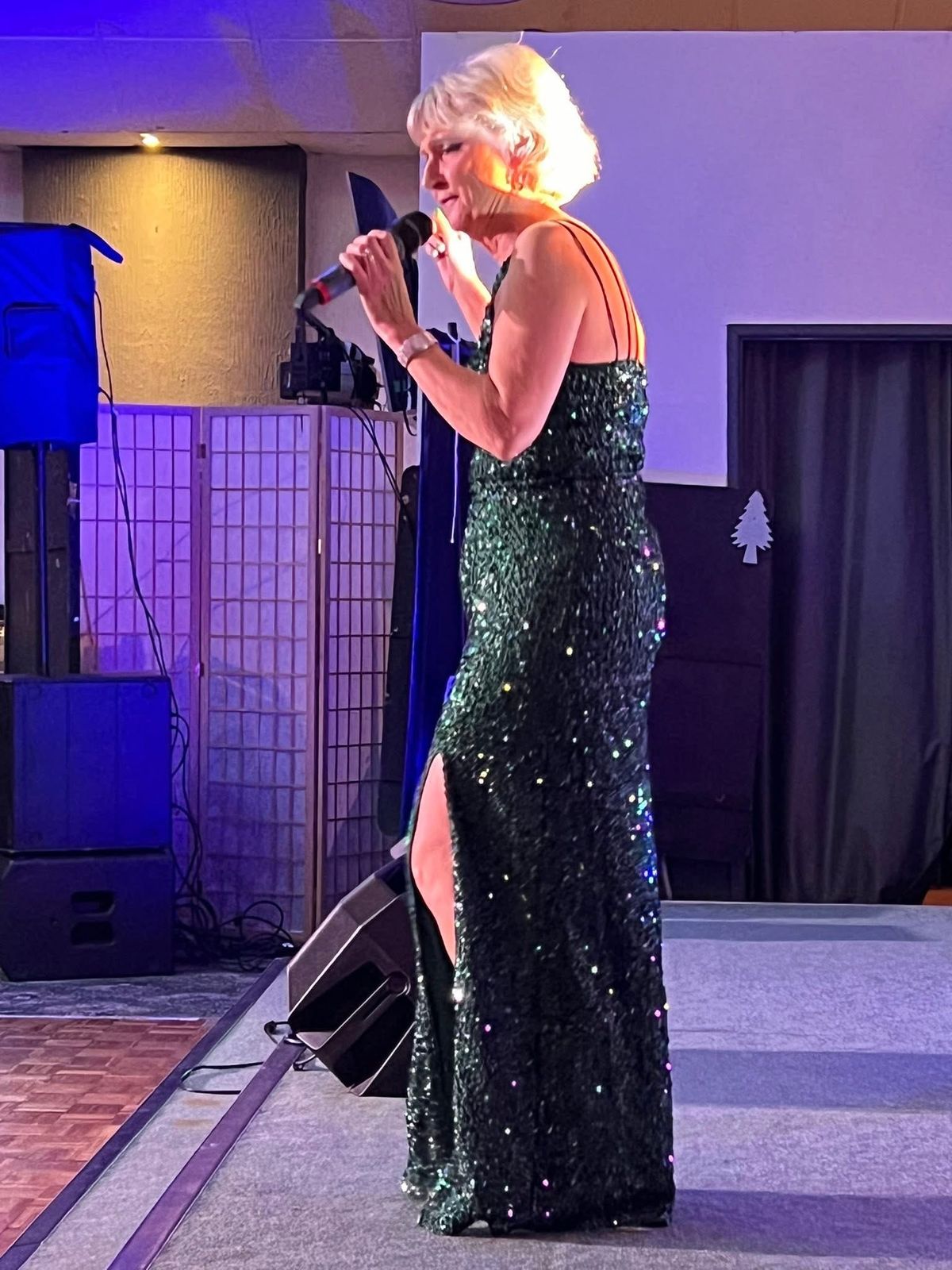 Review: Cannock Gala Charity Show