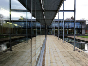 Supporting image for story: Veterinary firm Dechra Pharmaceuticals to buy Dutch businesses