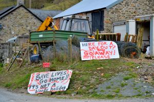 Coed Wood on the way to Lake Vyrnwy  