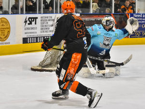 Supporting image for story: Telford Tigers roared home with league title