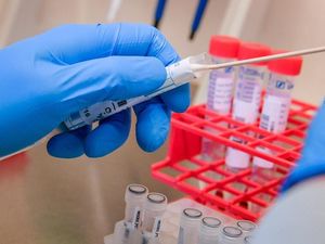 Supporting image for story