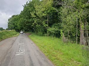 Supporting image for story: Firefighters rush to put out fire 'caused by children' in woodland near Shifnal