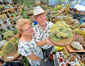 Prickly customers – Stan Griffin and Vicki Newman with some of their collection