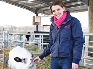 Supporting image for story: Hannah's profits rise by 65pc - despite the effects of pandemic 