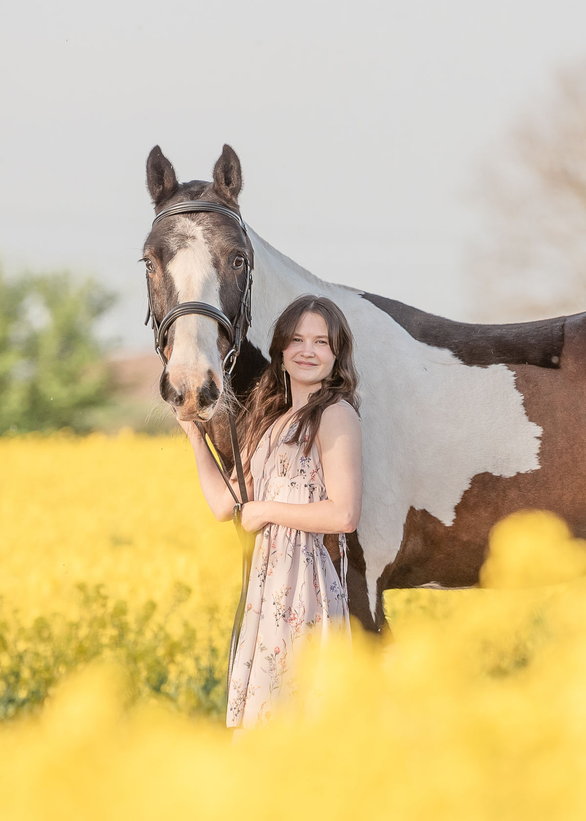 Staffordshire Photographer nominated as Finalist for Equine Photographer of the Year