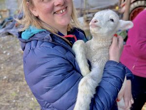 Supporting image for story: Shropshire lamb feeding event: Your chance to get up close and personal with farm's cutest residents as popular lamb feeding event returns