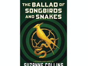 Supporting image for story