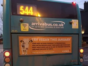 Supporting image for story: Anger as vegan adverts removed from Shropshire buses after complaints