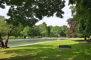 What a difference a day makes – Tettenhall Pool cleared of the litter left at the spot after the mini heatwave