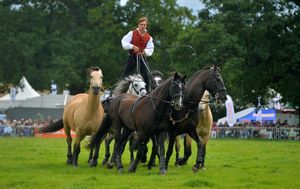 Burwarton Show