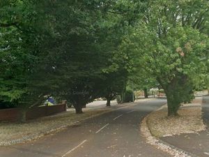 Supporting image for story: Telford & Wrekin Council refuses to certify use of house for children