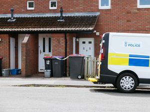 Supporting image for story: Provisional trial date set for Wellington murder suspect