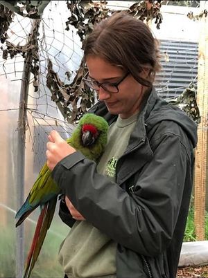 Forest with a keeper at the zoo.