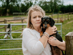 Supporting image for story: Heartbreak over dogs stolen from caravan at Shropshire smallholding 