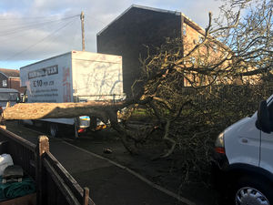 Supporting image for story: Trees down, roads closed and rail services hit as high winds hit Shropshire and Mid Wales - with video