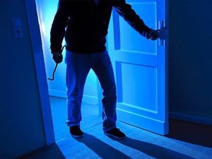 Supporting image for story: Builders urged to ‘design out’ crime at new Telford homes