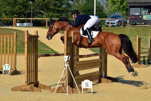 Laura would compete regularly