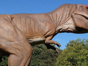 Supporting image for story: Mammals changed from night to day creatures after dinosaurs died off, study suggests