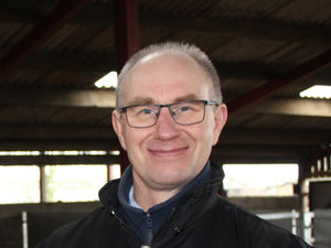 Supporting image for story: Cooling your cows when the going gets hot