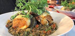 Get your claws in – rolled Seabass fillet, stuffed with Whitby crab, on a bed of lentils
