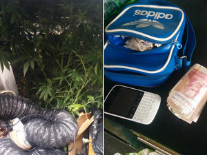 Supporting image for story: One arrested and £10,000 worth if drugs during Telford police raids