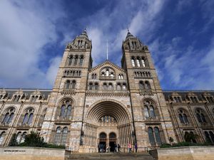 Supporting image for story: Most visited UK museum in 2021 revealed