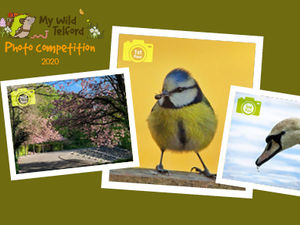 Supporting image for story: Winners of Telford World Environment Day photo competition revealed