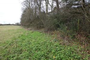 Supporting image for story