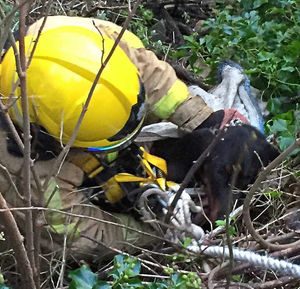 Charlie harnessed up ready to lift from the quarry