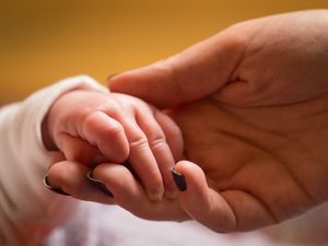 Supporting image for story: Study shows impact of motherhood on earnings