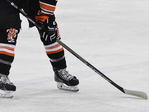 Supporting image for story: League issues denial over Telford Tigers name change