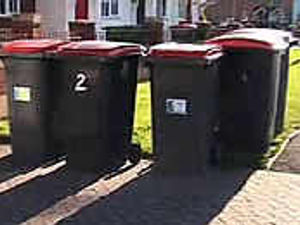Supporting image for story: Empty our litter bins, council