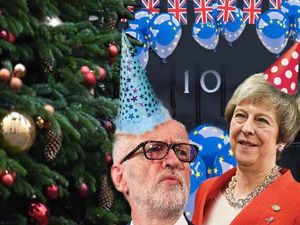 Supporting image for story: Putting the ‘party’ into party politics
