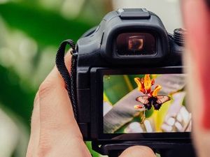 Supporting image for story: Telford photo competition for World Environment Day