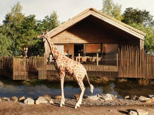 Supporting image for story: Chester Zoo releases new images of its luxury overnight lodges